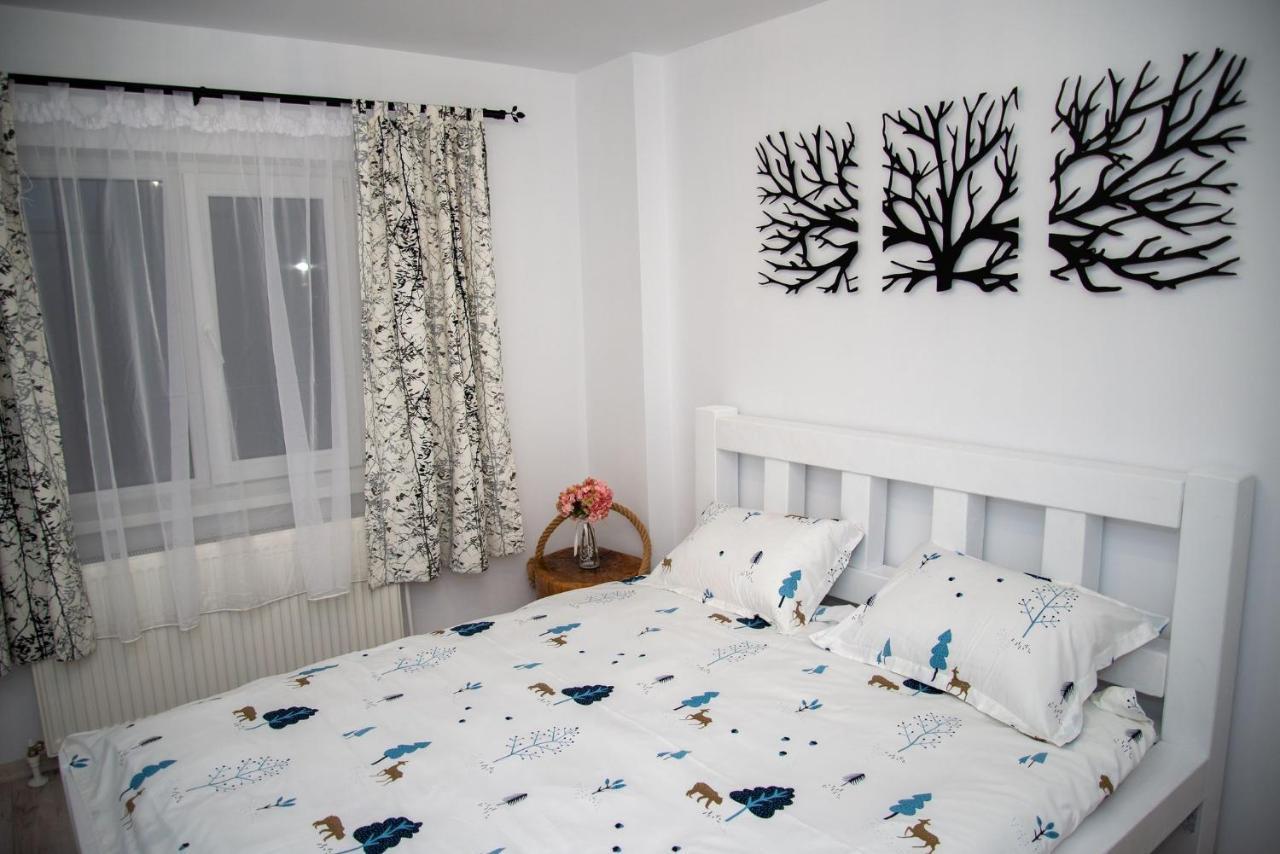 Apartament Daria Tîrgu Ocna Zewnętrze zdjęcie
