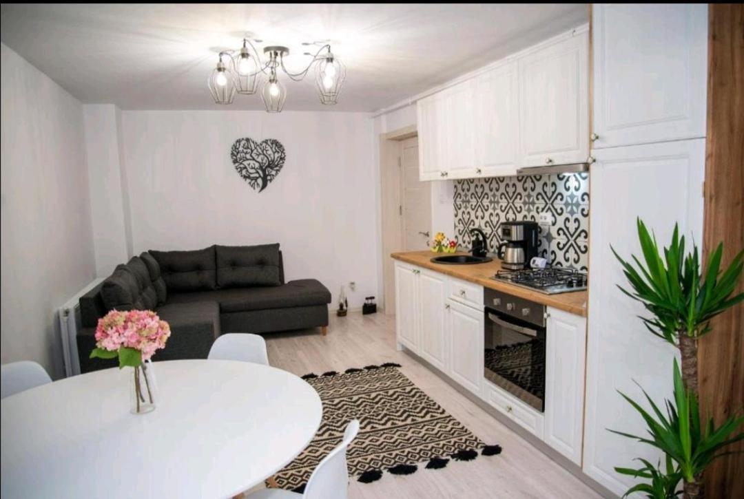 Apartament Daria Tîrgu Ocna Zewnętrze zdjęcie